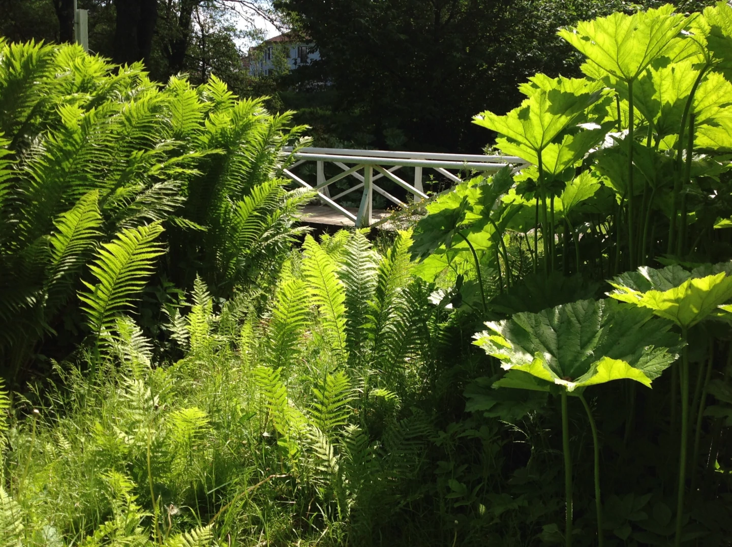 Grönområde i Brunnsparken.