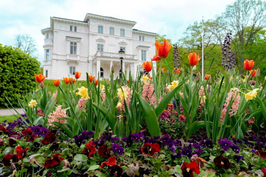 Blommor i förgrunden, Nolhaga slott i bakgrunden.