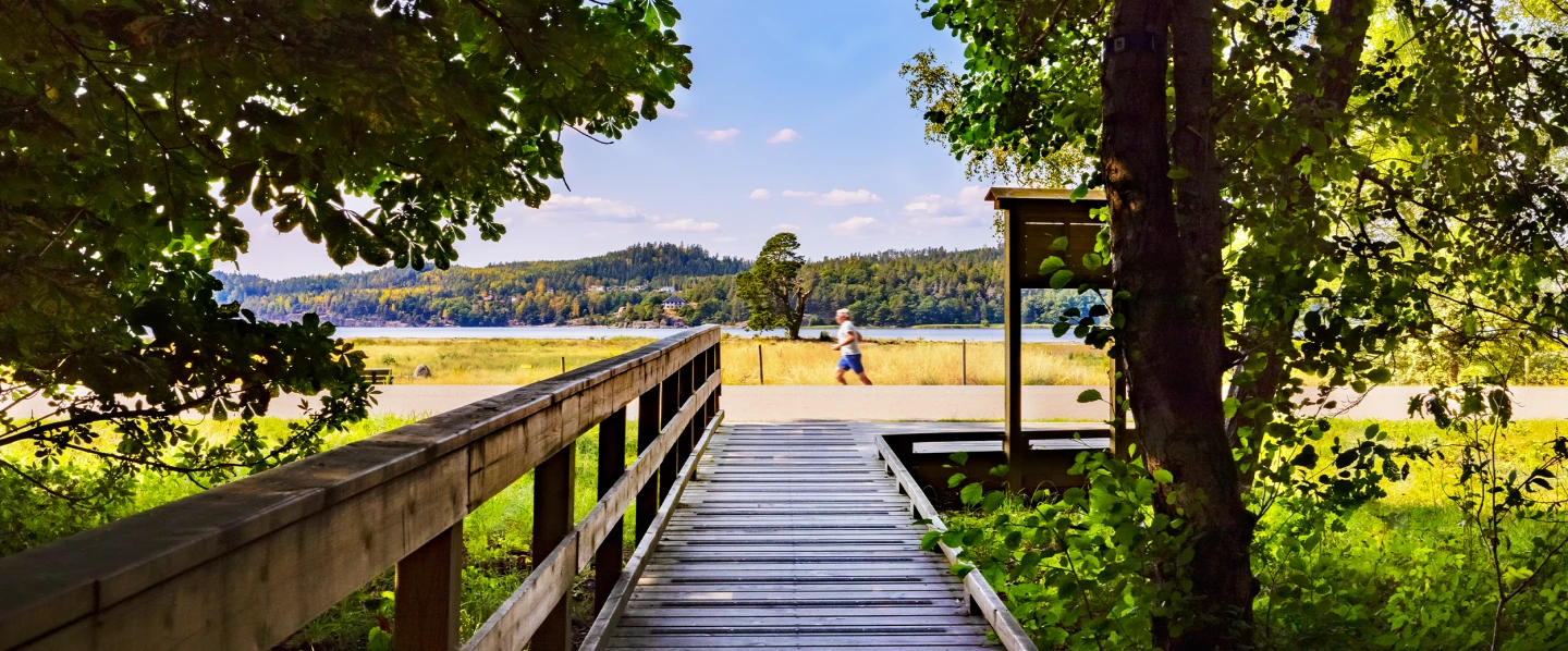 En spång i trä i ett naturskönt område med träd och vatten.