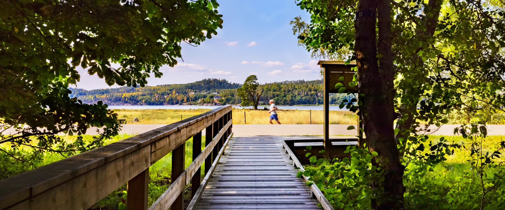 En spång i trä i ett naturskönt område med träd och vatten.