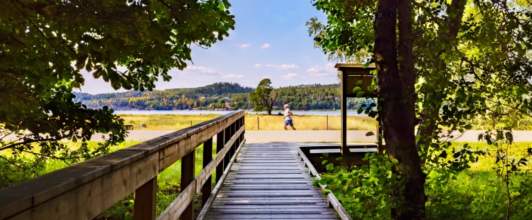 En spång i trä i ett naturskönt område med träd och vatten.