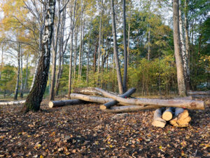 Hundlekplats i Ingared