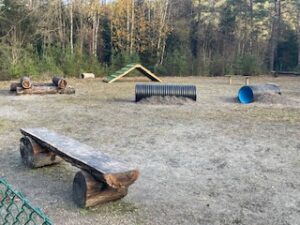 Hundlekplats i Östra Ängabo