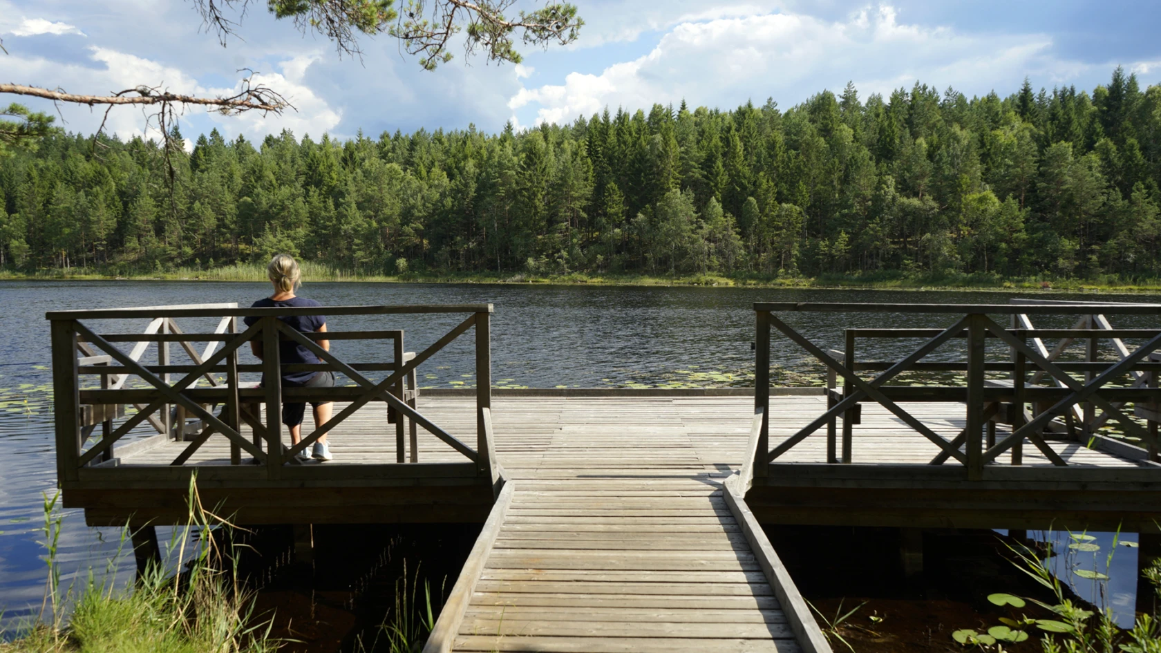 Foto å brygga vid Tollsjön i Hjortmarka naturreservat
