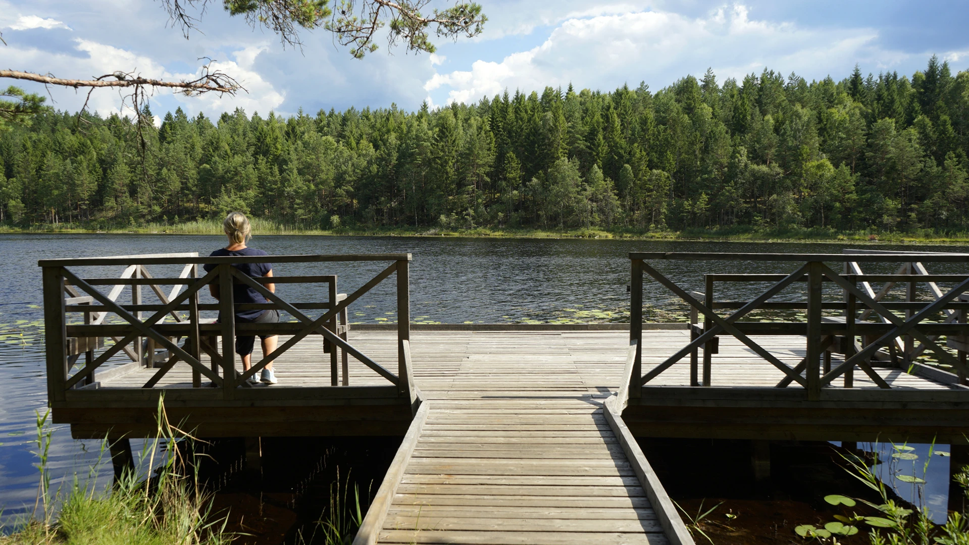 Foto å brygga vid Tollsjön i Hjortmarka naturreservat