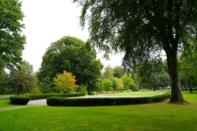 Plantaget