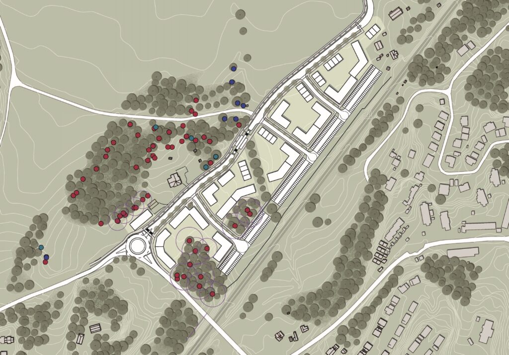 Illustration över grönska.