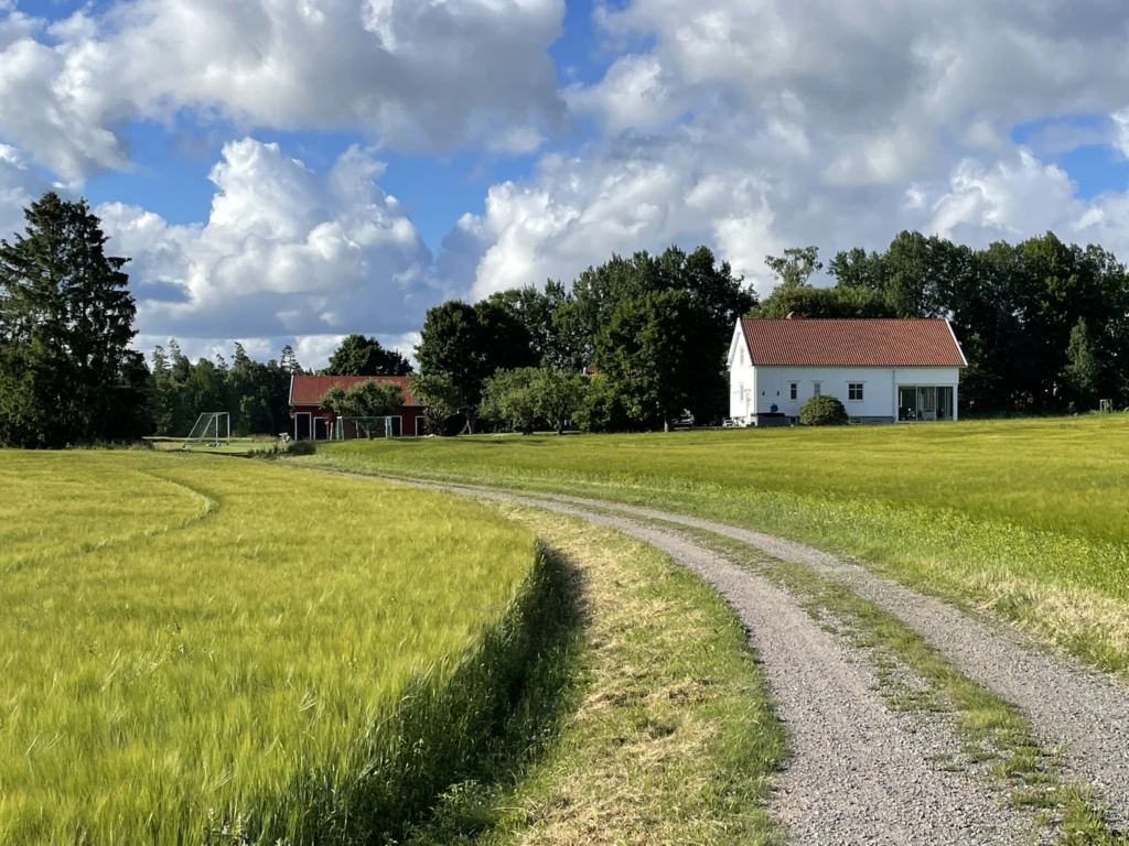 En grusväg som leder fram till ett hus på landet.