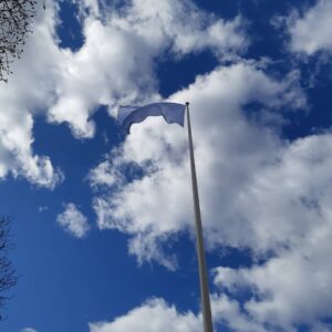 en blå flagga svajar, i bakgrunden blå himmel och vita moln